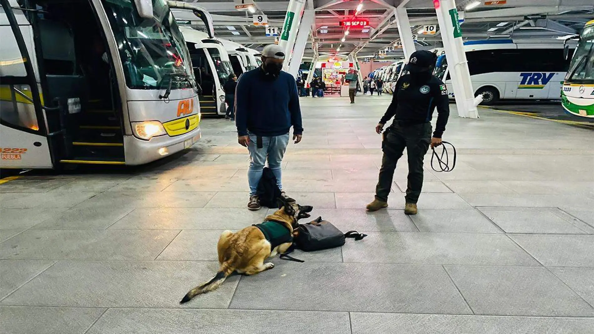 Detenido con marihuana en Caxa